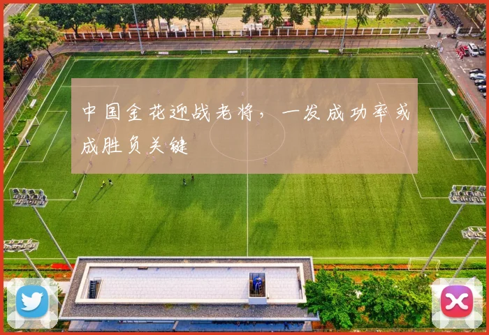 中国金花迎战老将,一发成功率或成胜负关键
