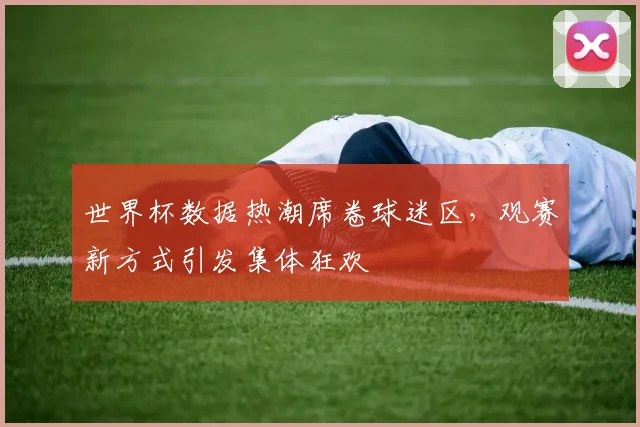 世界杯数据热潮席卷球迷区,观赛新方式引发集体狂欢