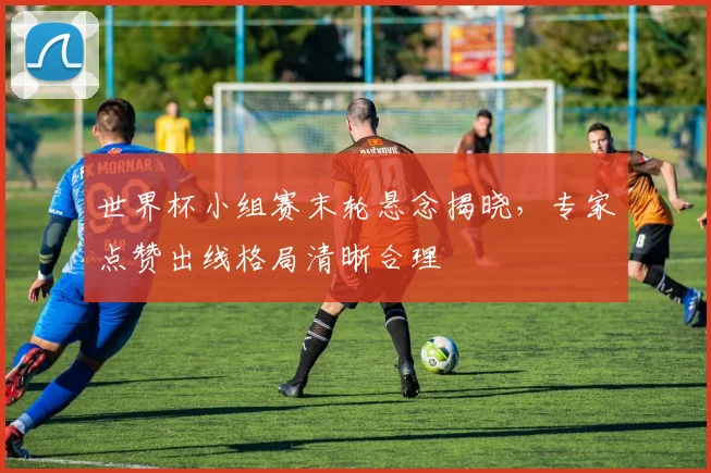 世界杯小组赛末轮悬念揭晓,专家点赞出线格局清晰合理