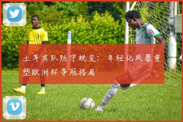 土耳其队防守蜕变:年轻化风暴重塑欧洲杯争冠格局